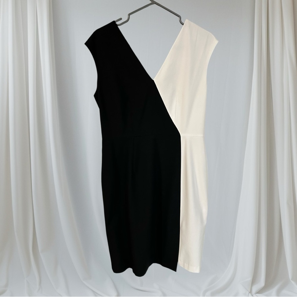 🌻 Tristan Sophisticated Colour-blocked Dress #167 - Picture 5 of 16